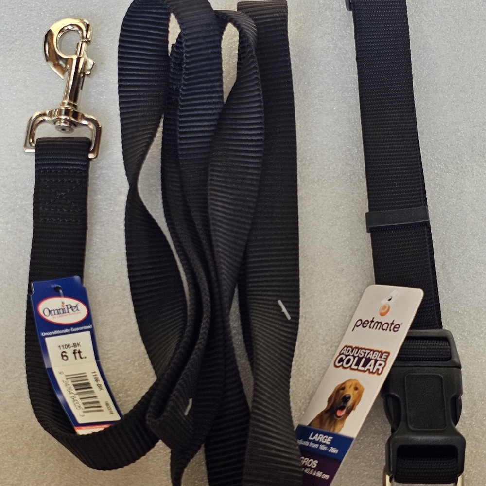 Leash & Snap Collar Large Dog Set NEW